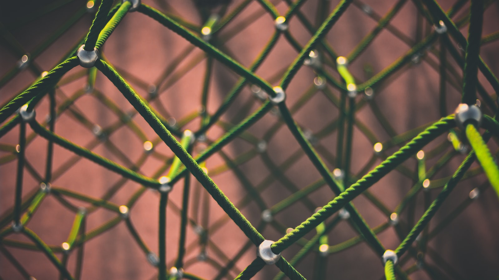 Leveraging Data Analytics for Effective Targeting and Engagement