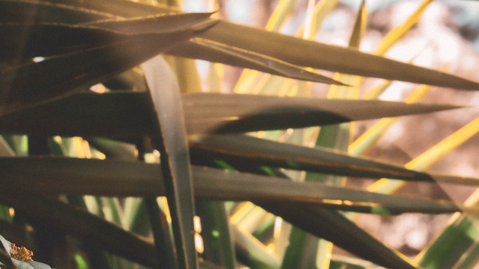 Unveiling Instagram Insights: Key Metrics and their Significance