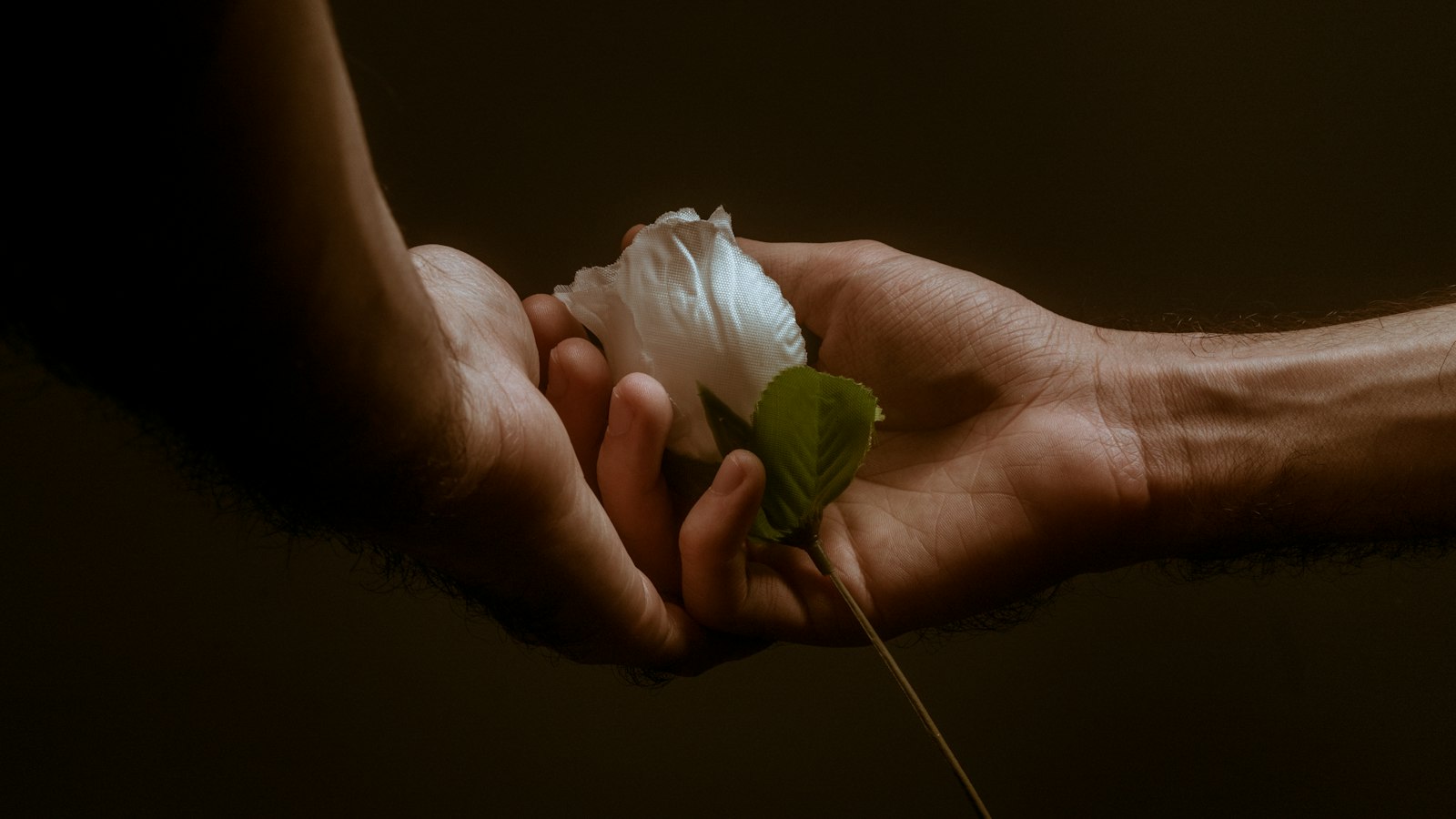 Building⁢ Genuine Relationships with Influencers for⁢ Authentic ‌Content Creation