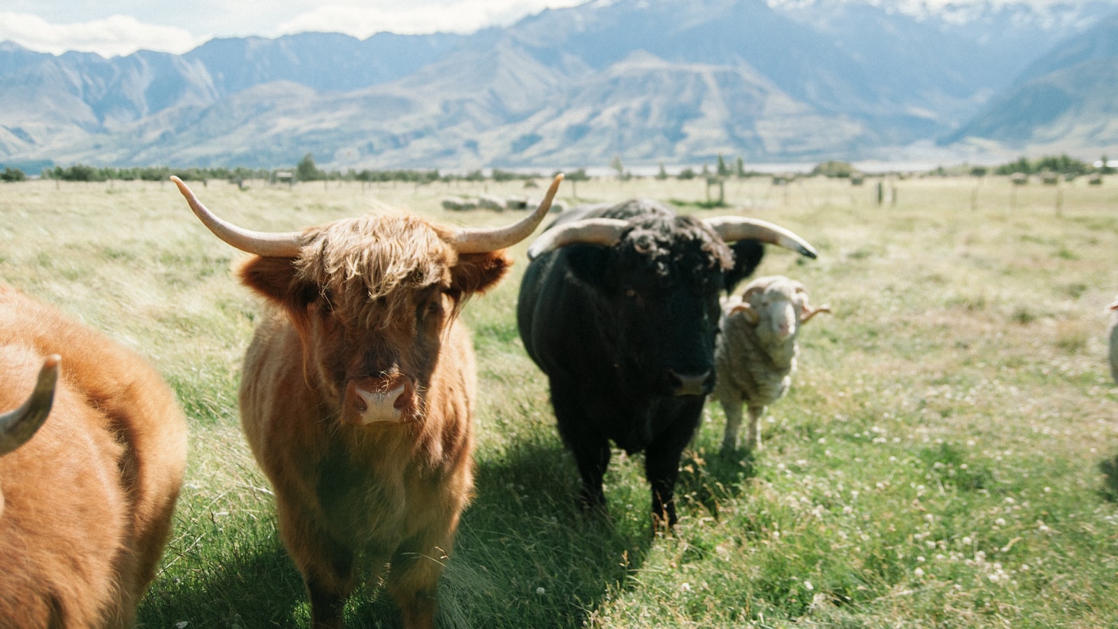 Choosing the Right Certification Course: Factors to Consider and ⁣Top Recommendations