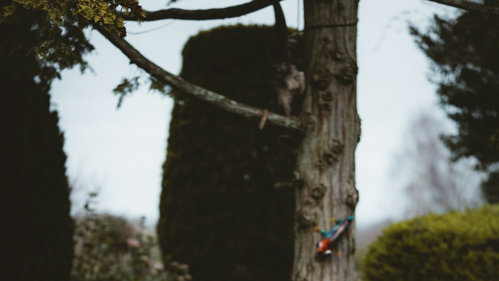 Heading 1: Unveiling the Magic: The Art of Building Successful Collaborations with Instagram Influencers