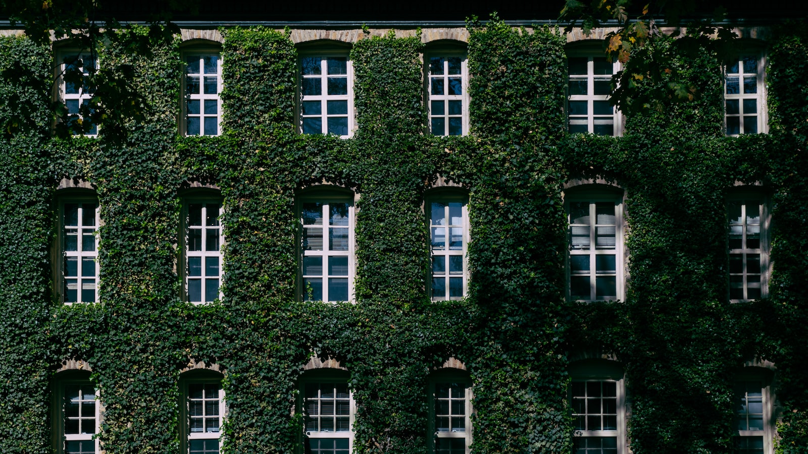 Mastering the Art⁣ of Collaboration: Establishing Solid Relationships with Social Media Influencers