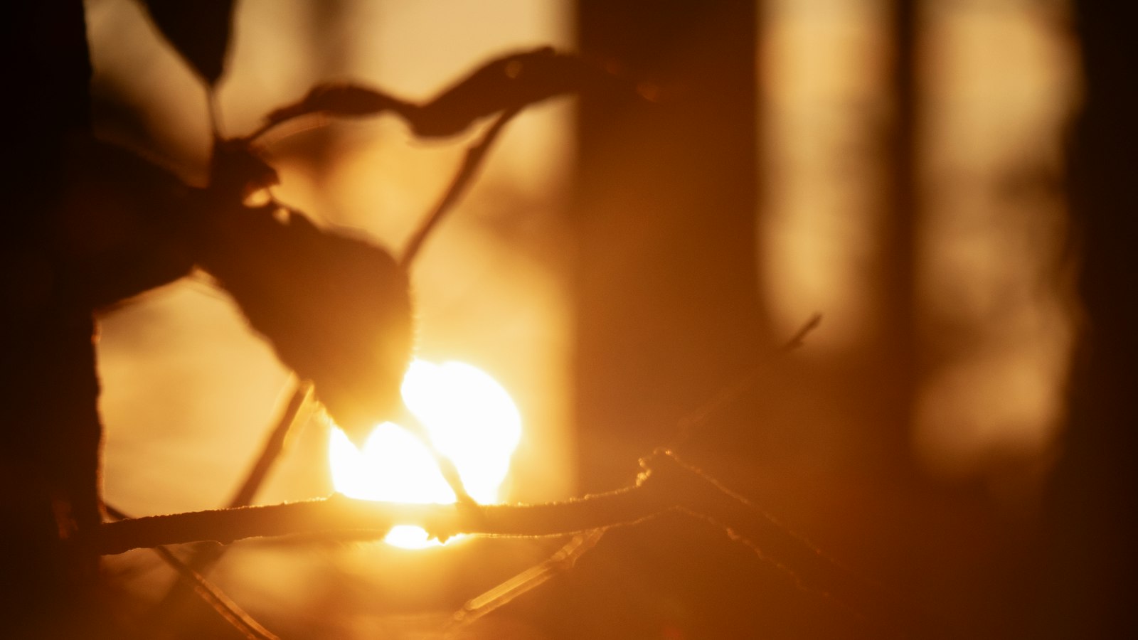 1. Captivating ⁤Content: Crafting Engaging Ad Campaigns for High Conversion Rates