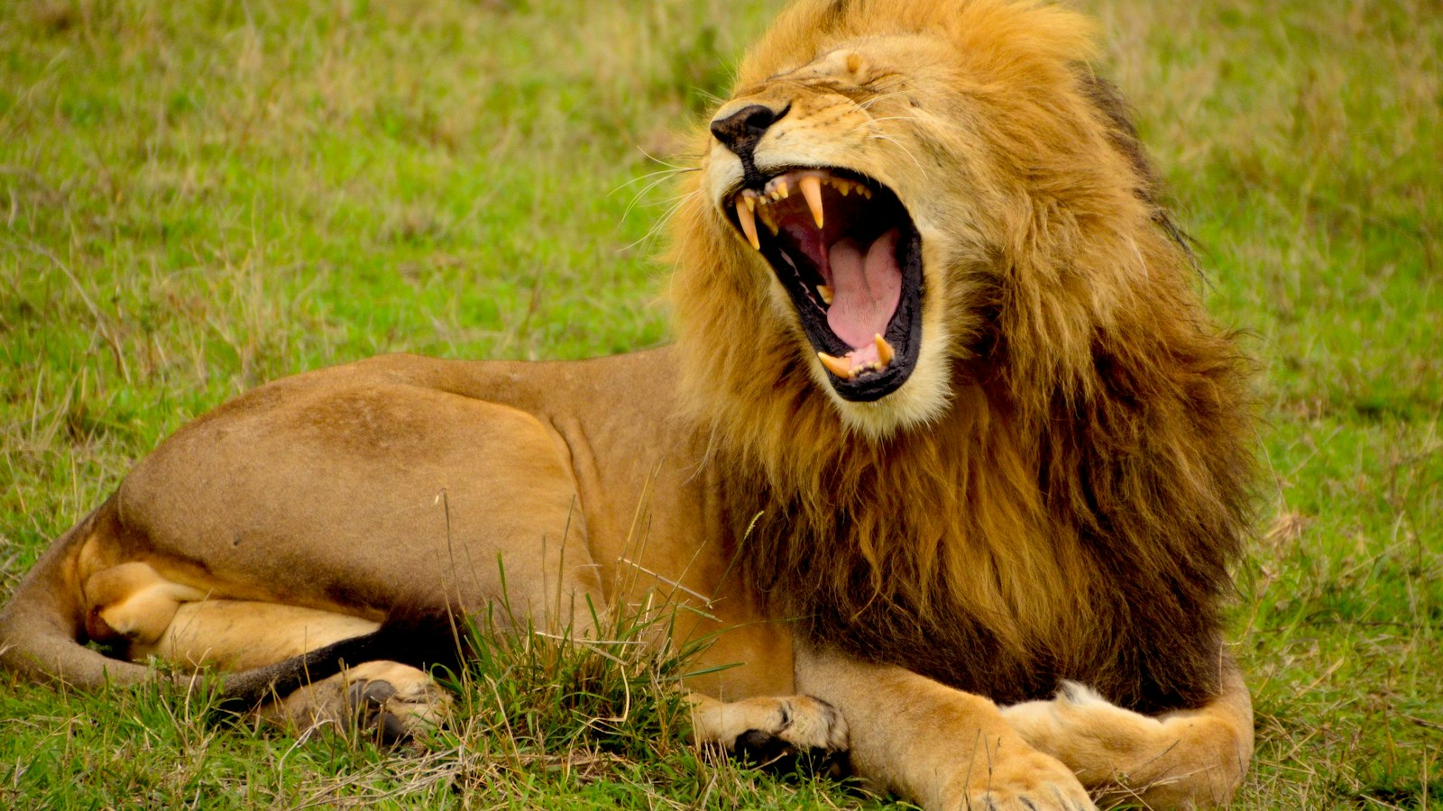 The Power of Composition: The Art of Creating Engaging Instagram Posts