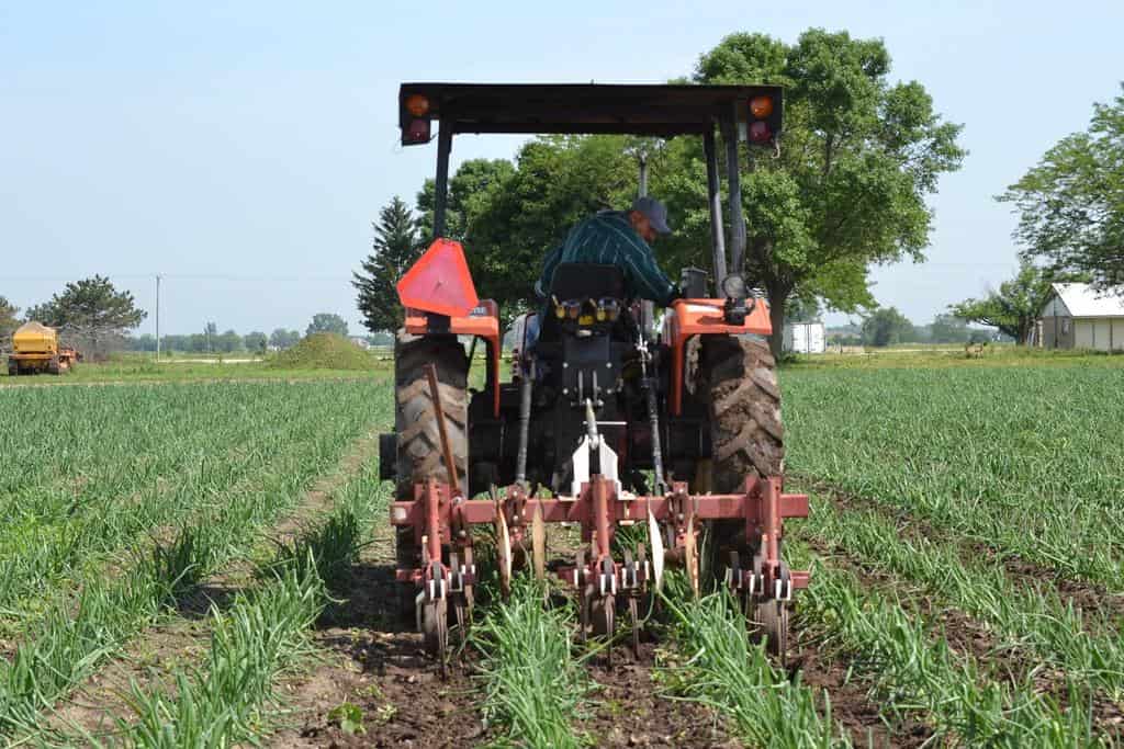 The Art of Cultivating Loyalty Among Your Online Audience