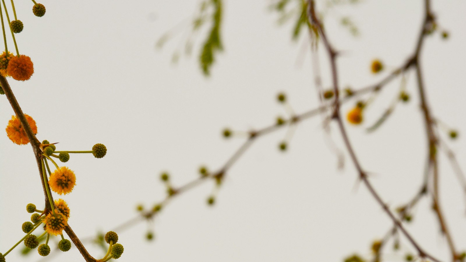 Instagram Marketing Mistake: Overlooking the Power⁣ of⁢ Visuals