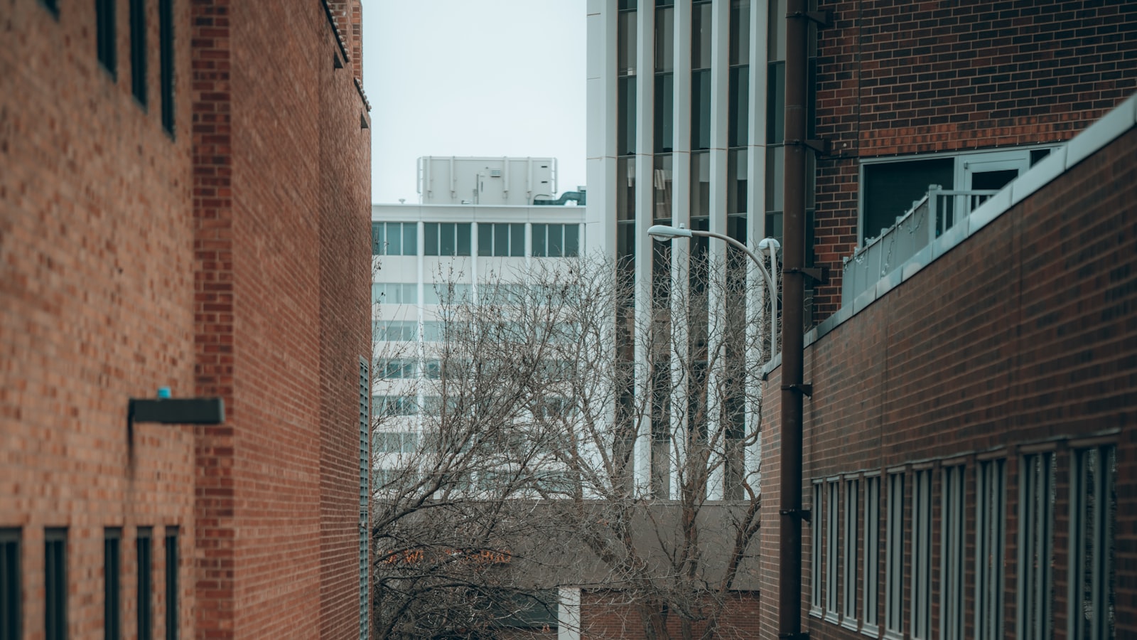 1. Cracking the Code: Understanding‍ Instagram's ⁣Algorithm for Optimal Business Growth