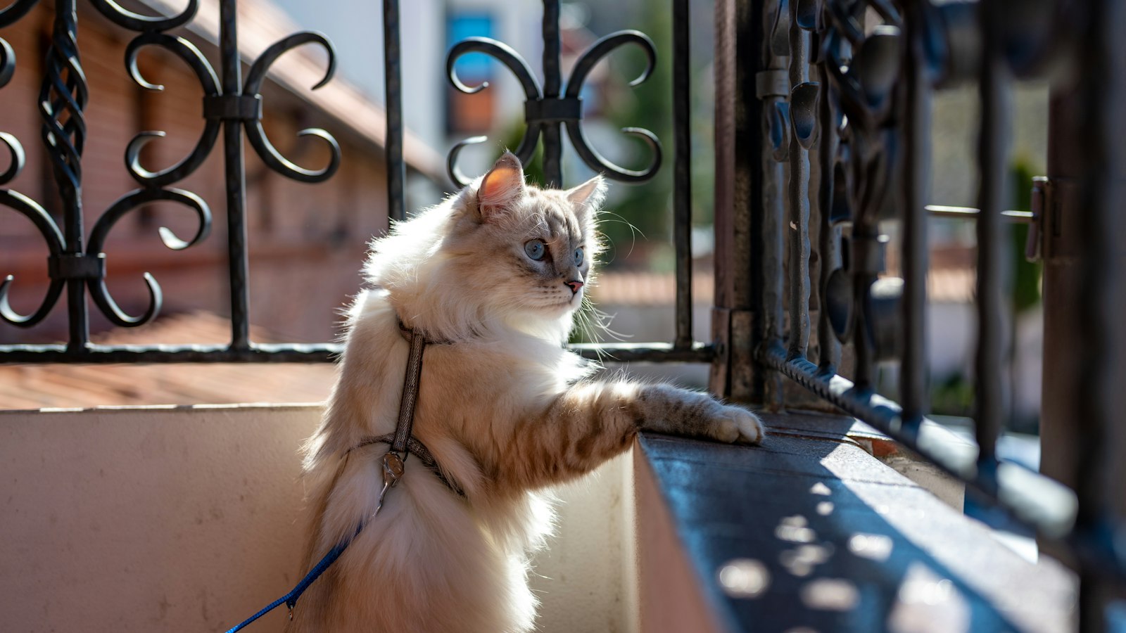 Harnessing the​ Potential: Actionable Tips for ‍Leveraging Instagram Business Accounts to Drive Sales