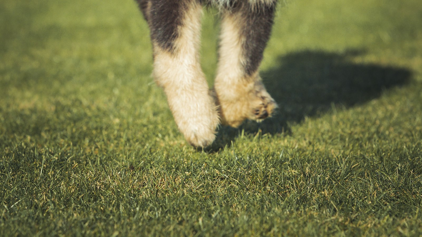 1. Embracing Authenticity: Unleashing the Power of Genuine Connections