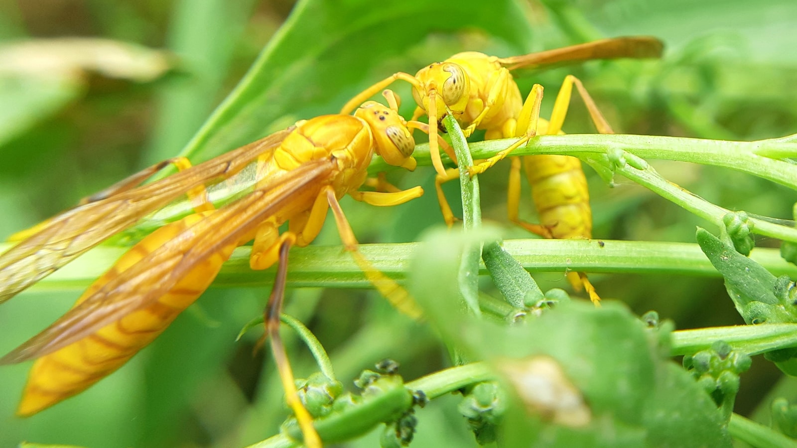 - ⁤The Importance of a Well-Organized ‌Instagram Content Calendar